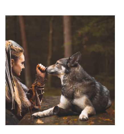 Horn shaped chewing bone L