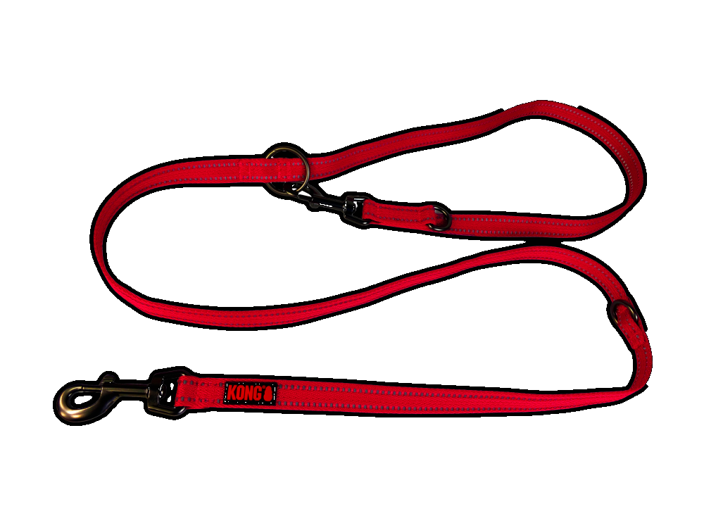 Adjustable base dog leash M Red