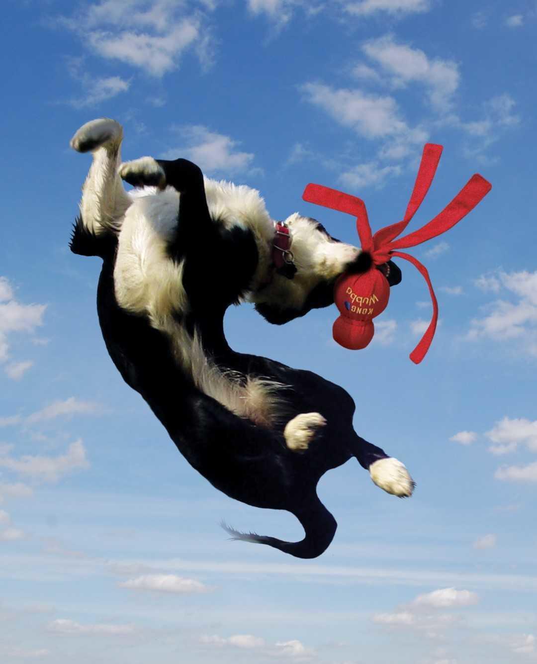 Wubba toy with cat root and rattle L 35,5 cm cat toy