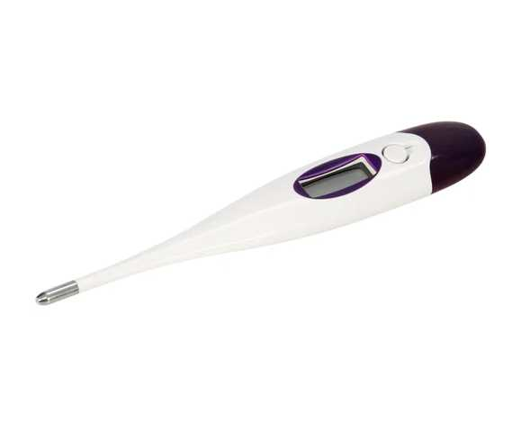 Digital clinical thermometer for horses