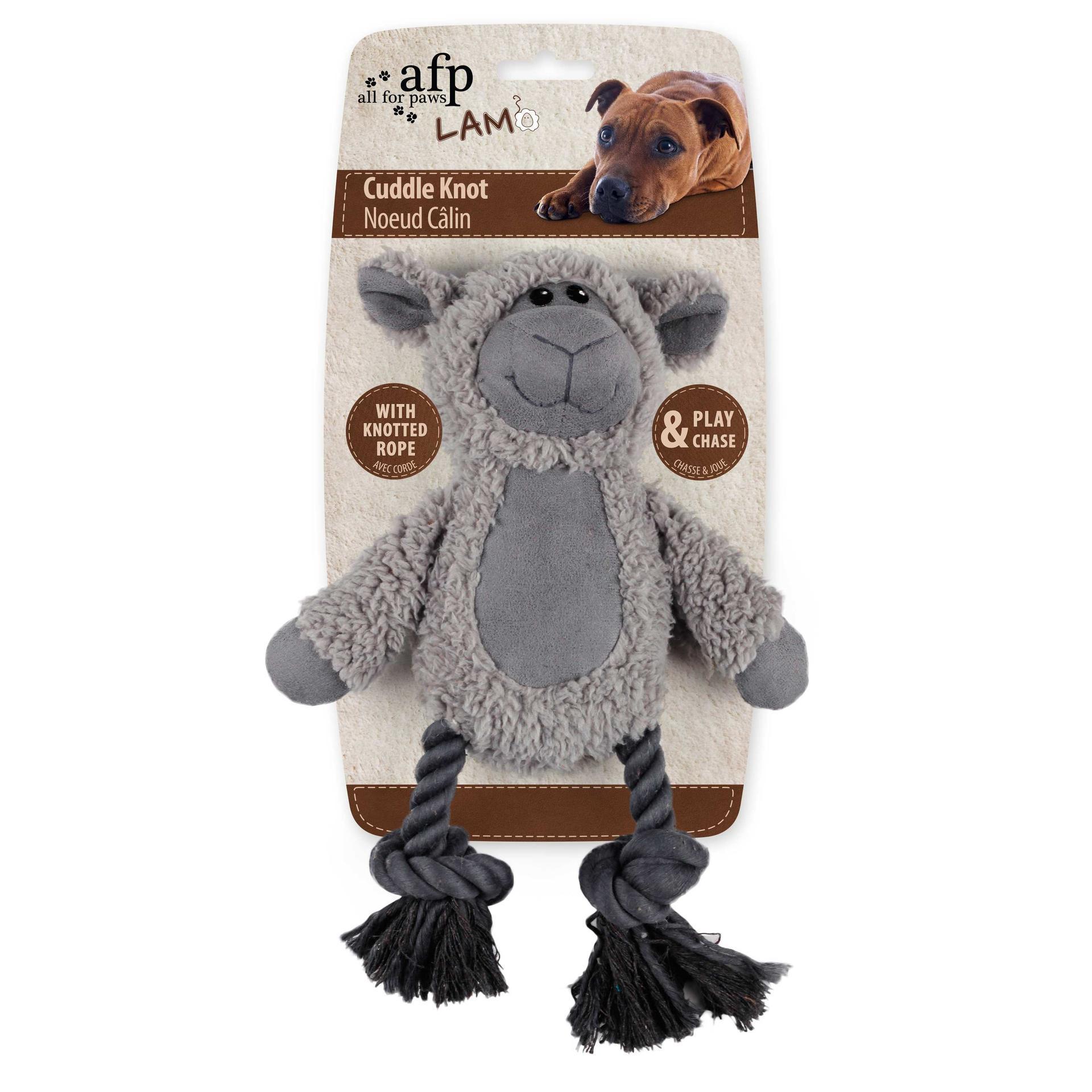 Plush dog toy with floss and rope