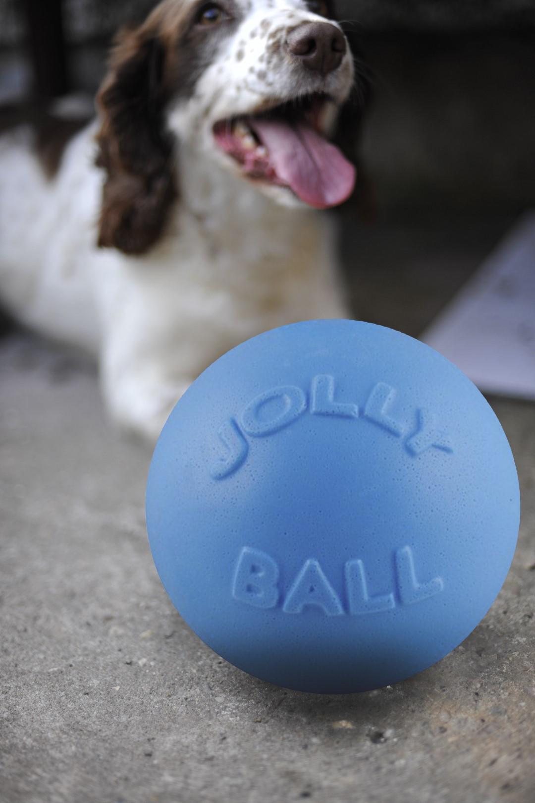 Bounce-n Play 20cm dog ball