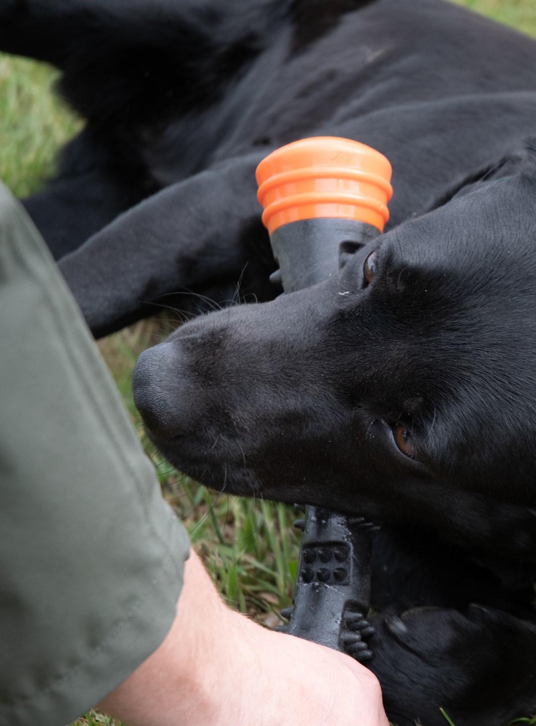 Meteor throw stick made of durable rubber orange L dog toy