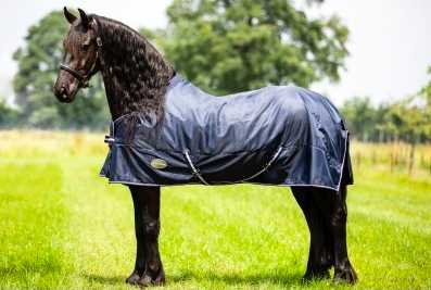Showtime Goliath XL horse rug