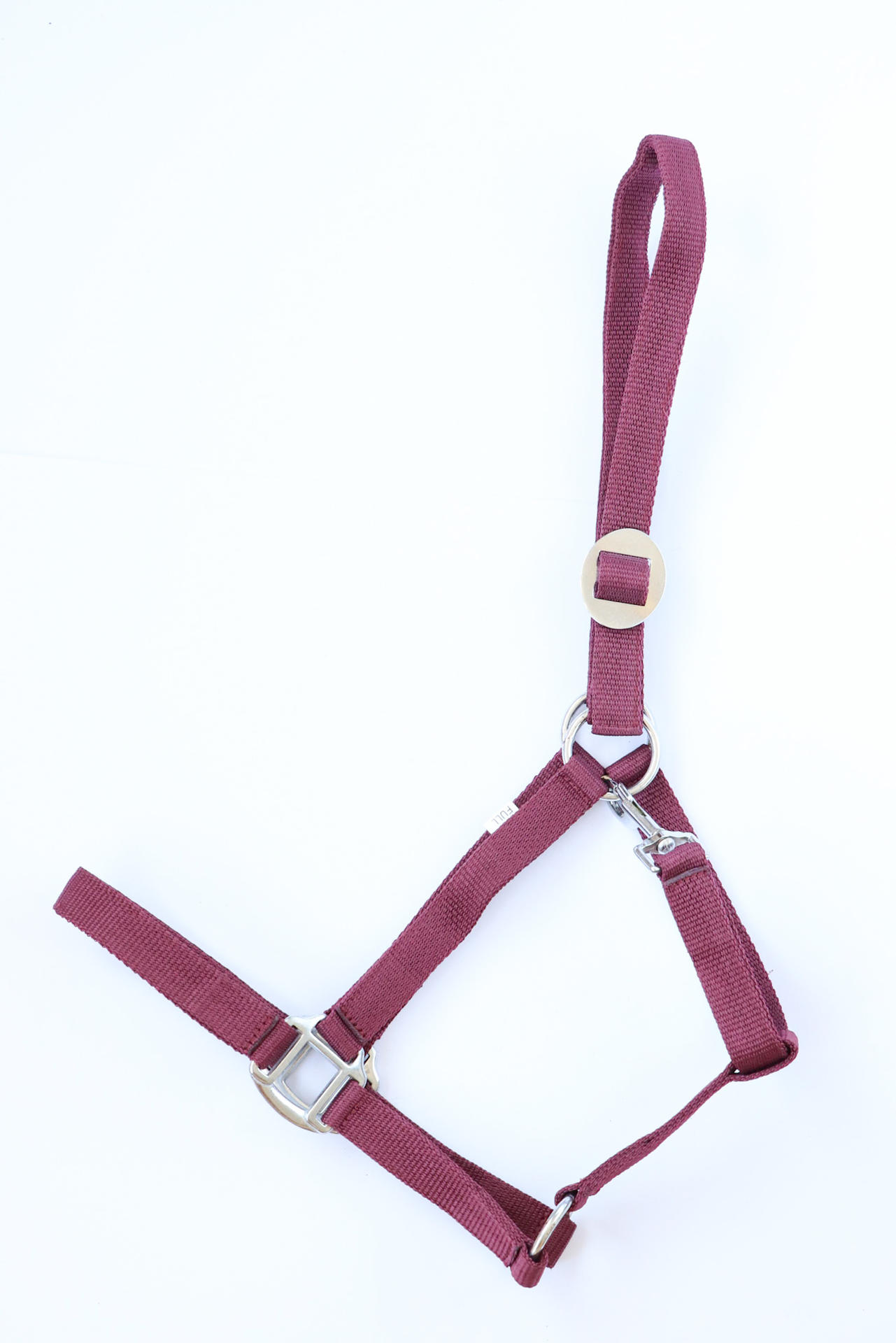 Apollo Nylon headcollar