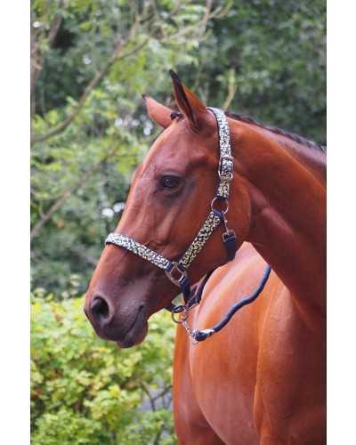 Crazy Headcollar, halter