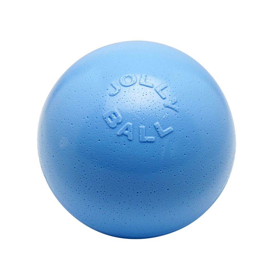 Bounce-n Play 15cm dog ball