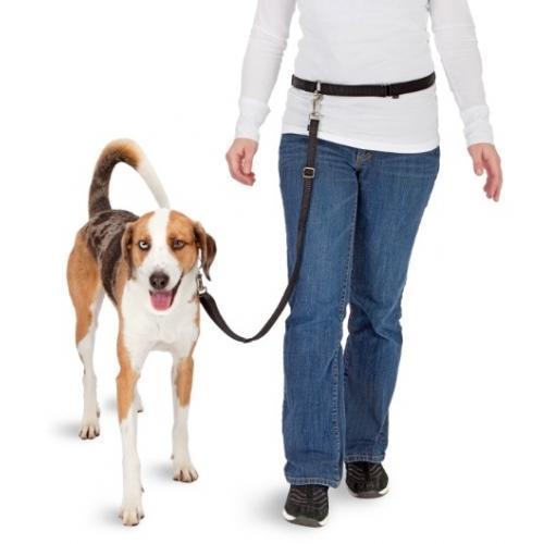Dog leash for jogging