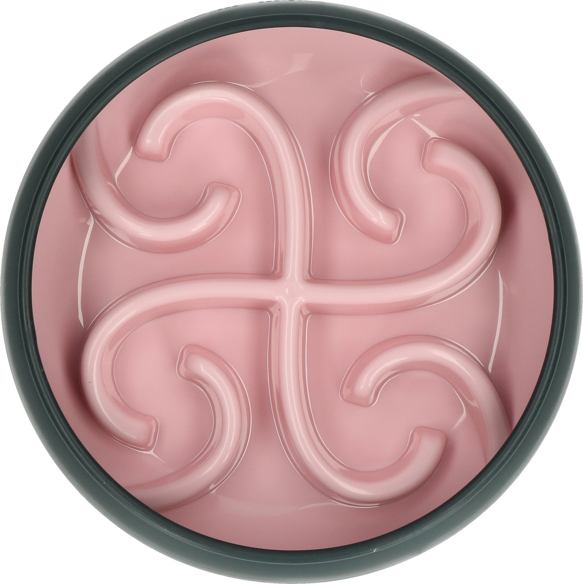 Slow feeding bowl  for dog