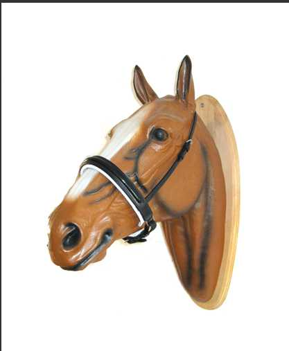 Bonsayo noseband