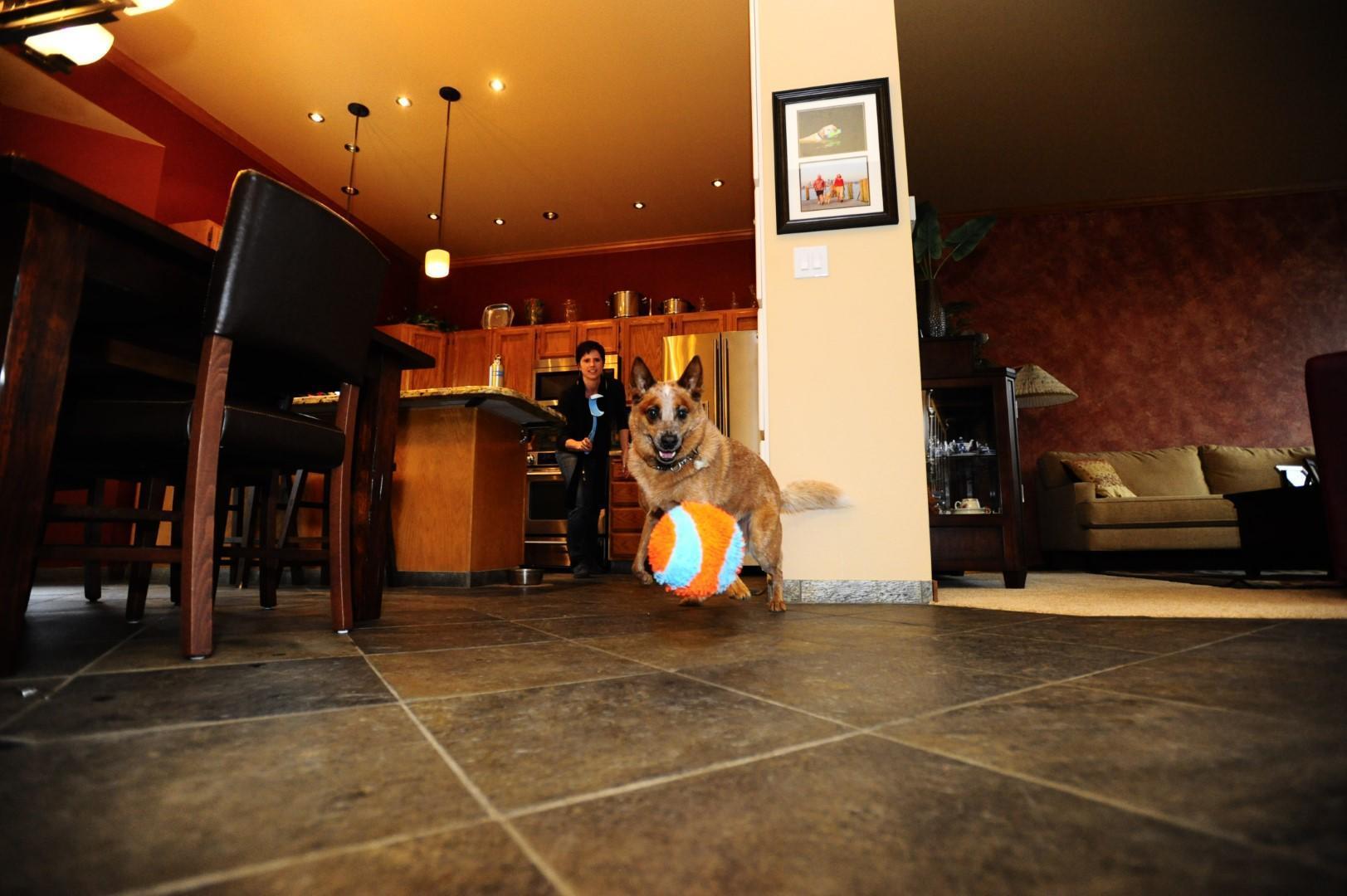 Indoor dog ball 12cm