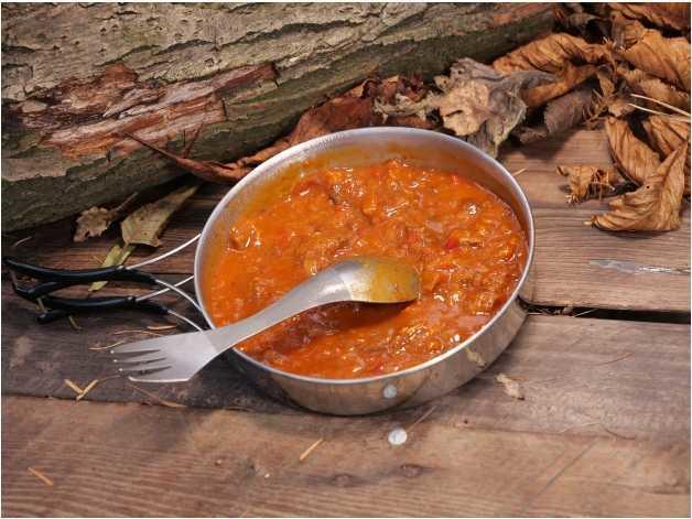 Beef stew with Hungarian sauce tourist food