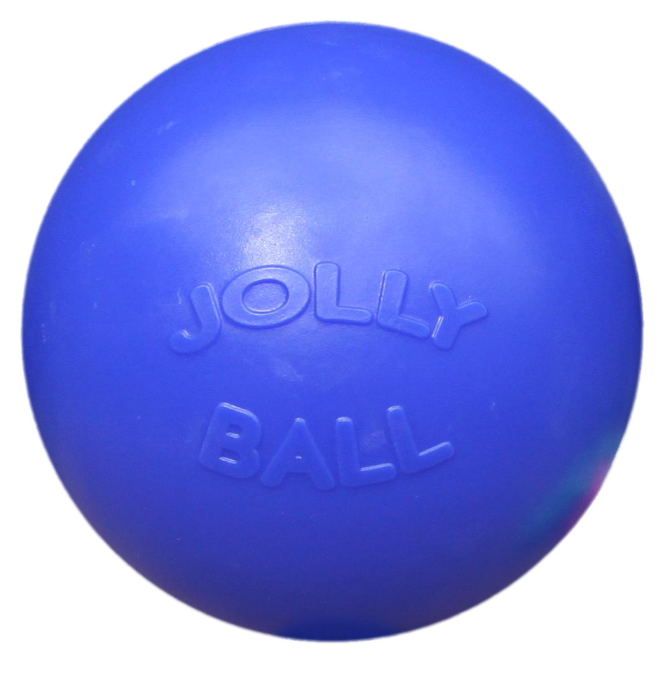 Push-n-Play 25cm dog ball blue