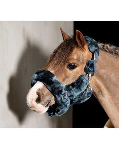 Matera Showtime Headcollar, halter
