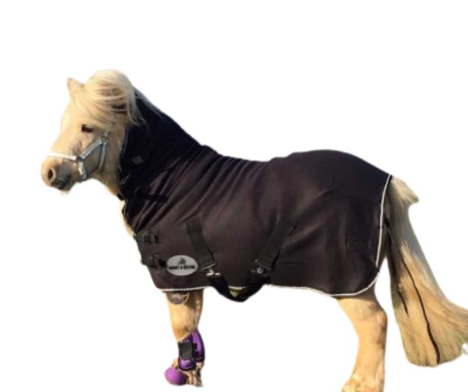 Harry and Hector Amy Horse blanket