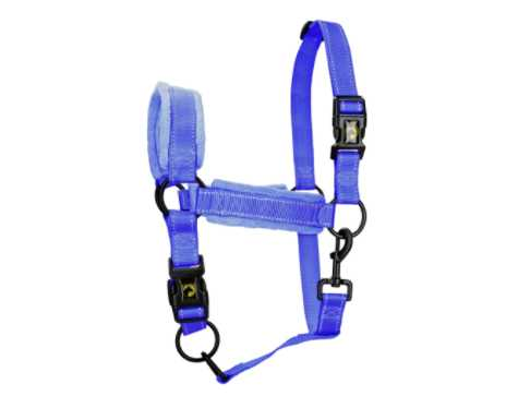 Monzo Headcollar, halter