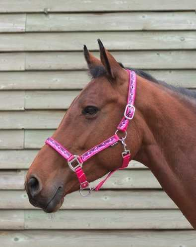 Bermuda Headcollar, halter
