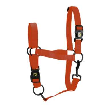 Monza Headcollar, halter