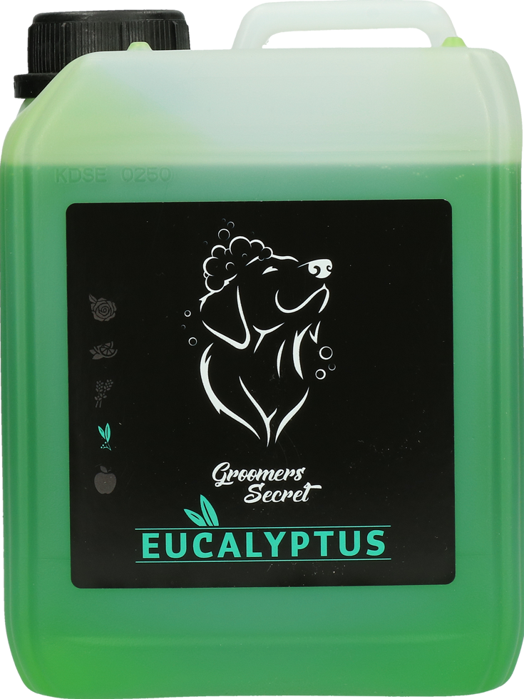 Eucalyptus scented, powerful cleansing shampoo pump