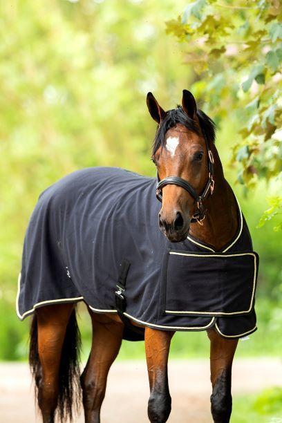 Niky horse rug