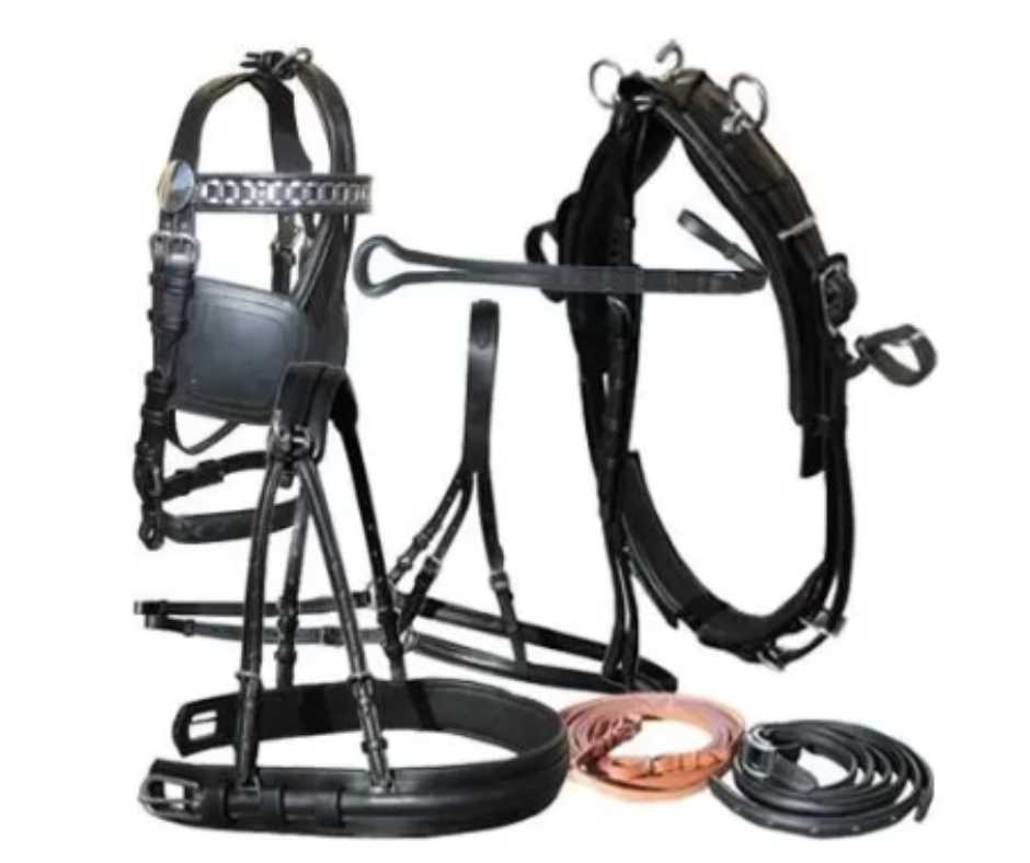 Diplomat SS Single Harness