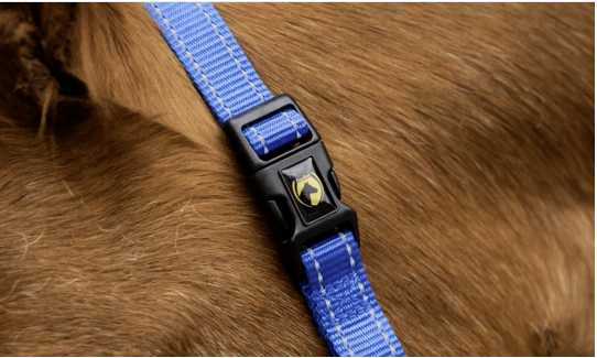 Monza Headcollar, halter