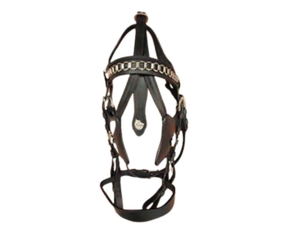 Friesian harness