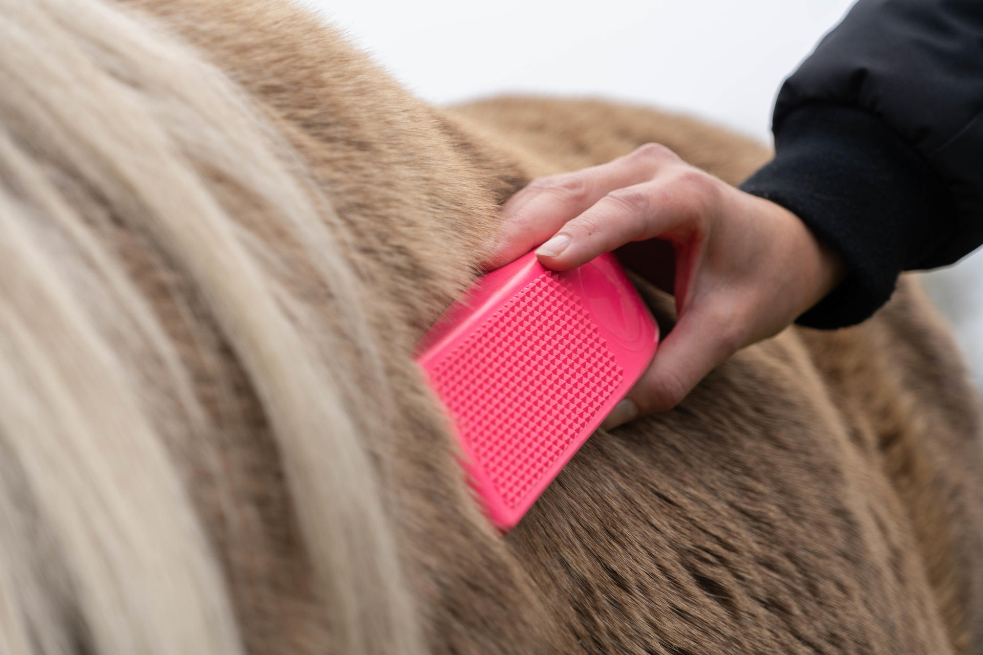Excellent massage brush for pink horse care