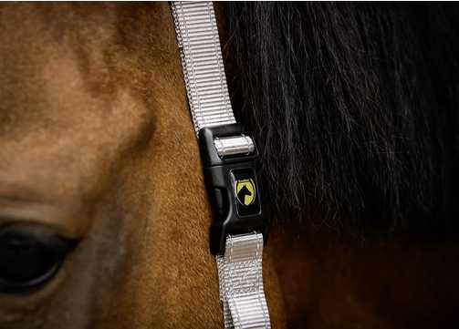 Monza Headcollar, halter