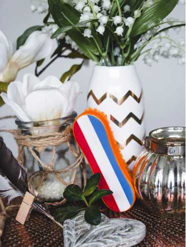 1642 cleaning brush Dutch 6 pieces horse care
