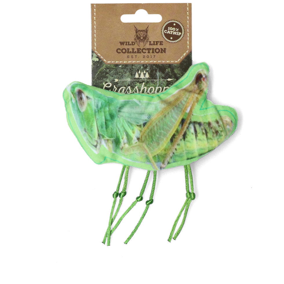 Grasshopper cat toy filled with catnip