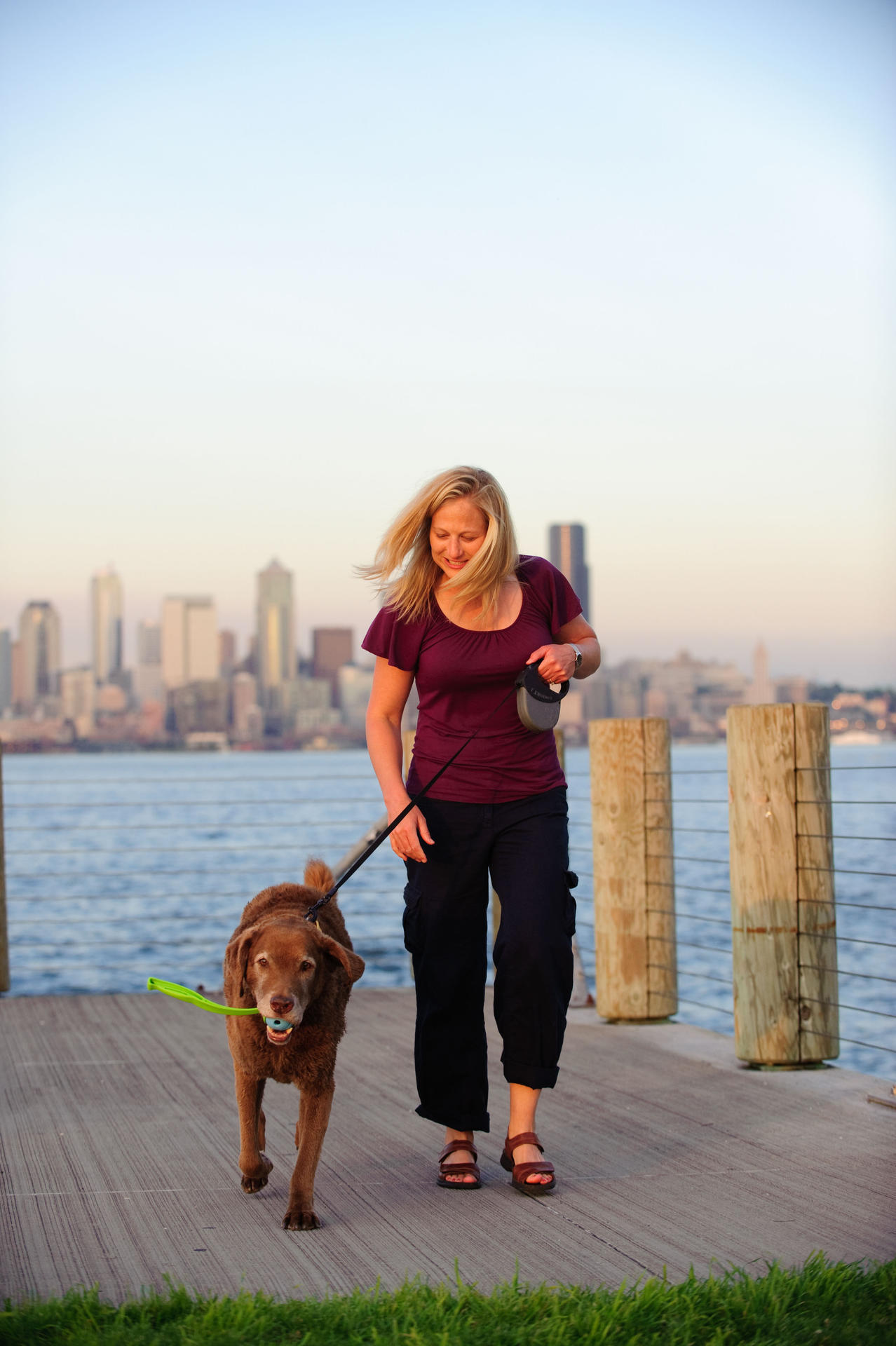 The Whistler S 5 cm 2 Pack