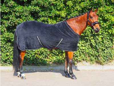 Coraly horse rug