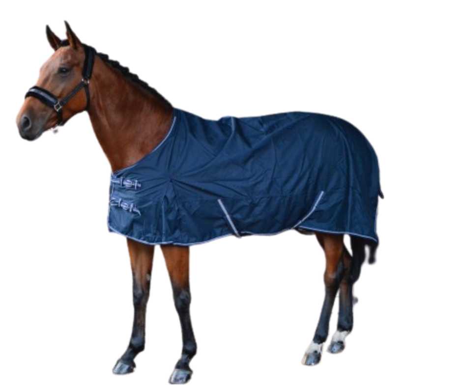 Candy Horse blanket