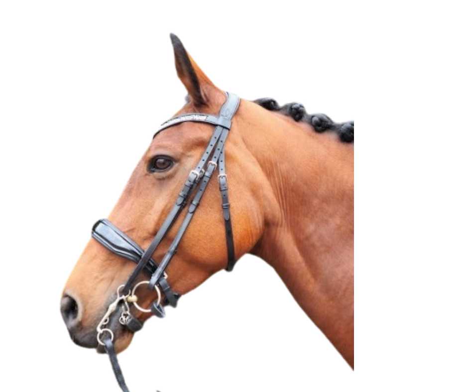 Showtime Great Pleasure bridle