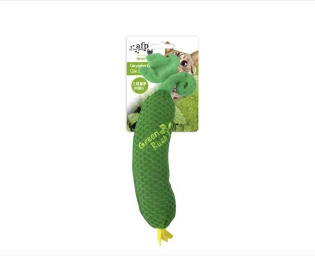 Cat toy zucchini