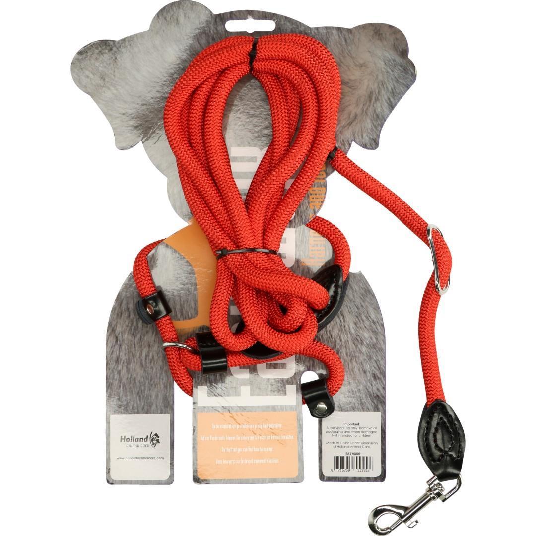 2in1 dog harness and leash 345cm