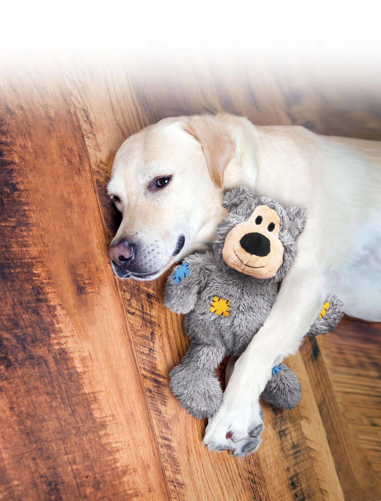 WildKnots Bears XS multicoloured plush dog toy