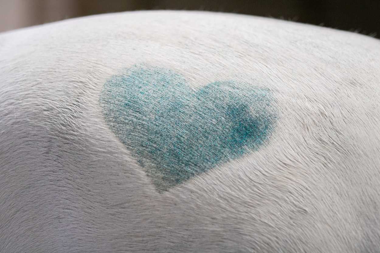 Unicorn pink glitter spray