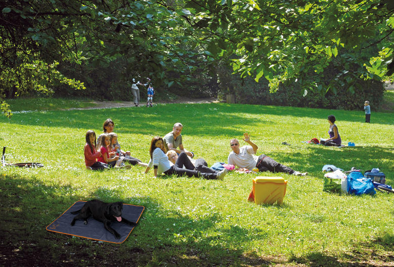 Bodyguard dog blanket grey