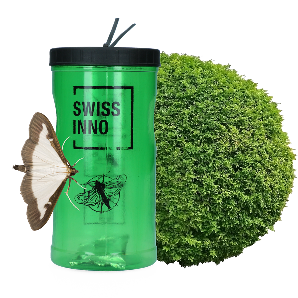 Natural moth trap baits for pest control by live catching traps