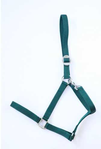 Apollo Nylon headcollar
