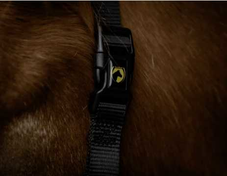 Monza Headcollar, halter