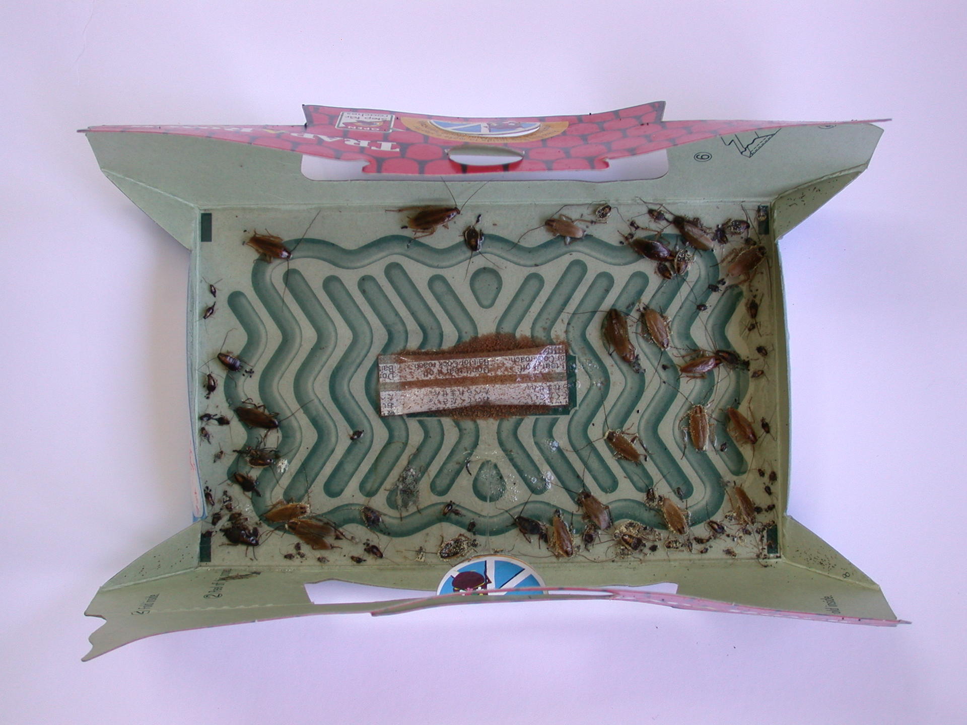 cockroach trap 5pc barn livestock pest control insect control