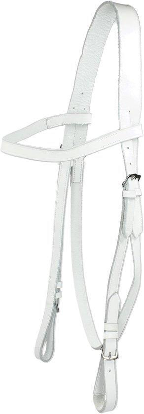 Leather Bridle
