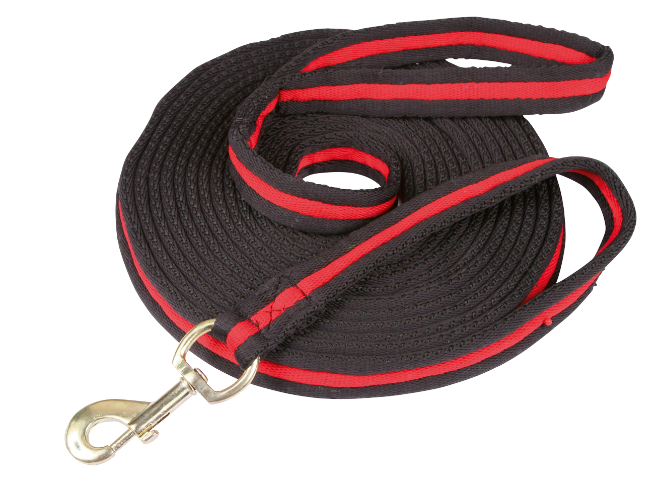 Lunge rope