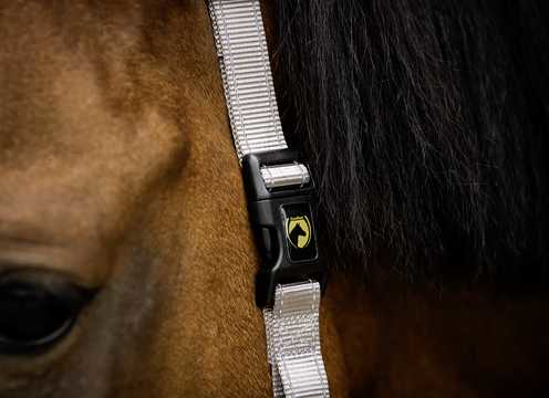 Monzo Headcollar, halter