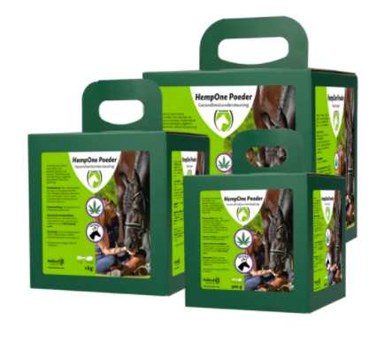 supplementary feed horse health