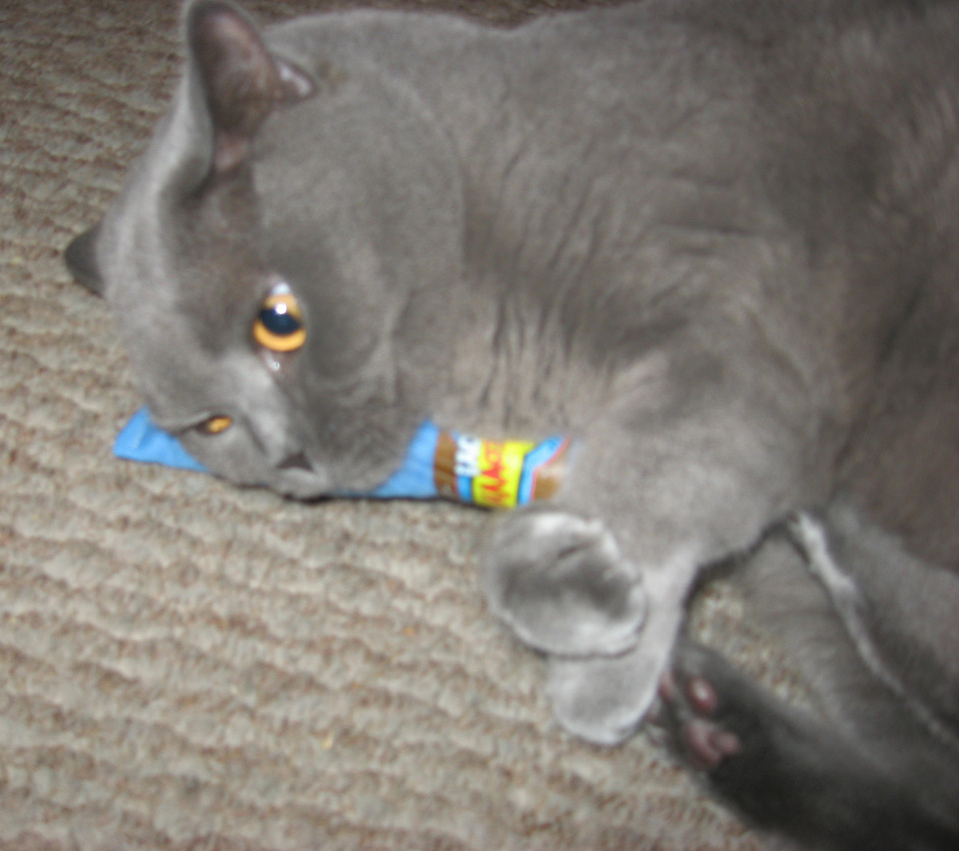 Catnip Filled Cigar Original Brown Singles Cat Toy