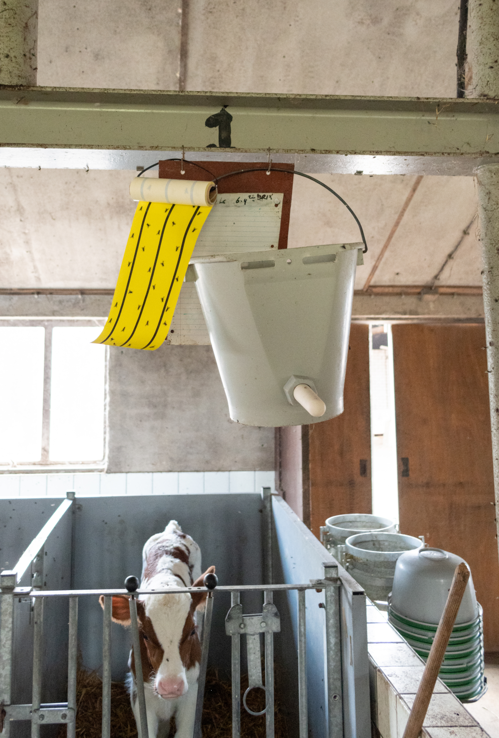 fly tape yellow barn pest control glue traps